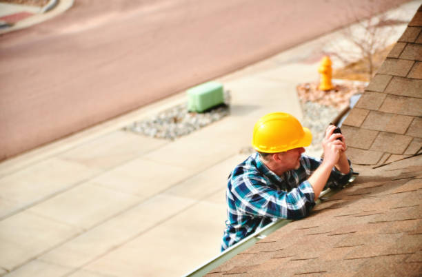 Roof Gutter Cleaning